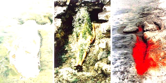 Silueta Series, 1973–1980 Ana Mendieta