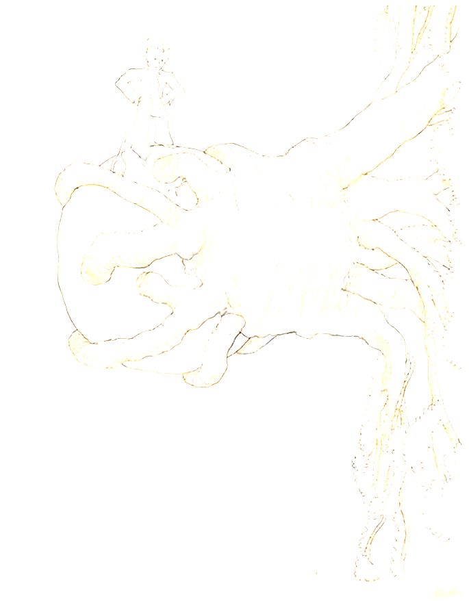 ilustração de O pequeno príncipe com grande árvore