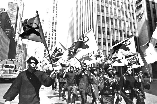 Partido dos Panteras Negras