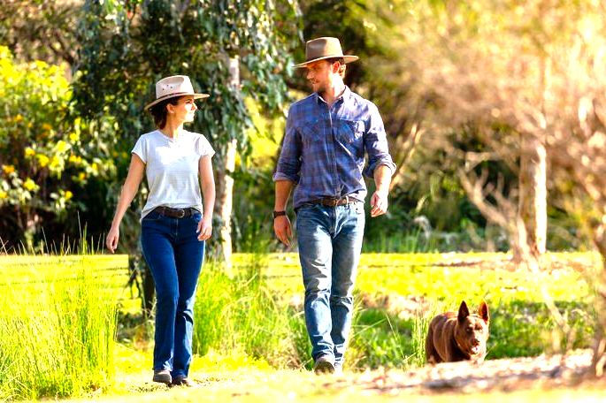Casal apaixonado, caminhando numa fazenda, com um cachorro castanho.