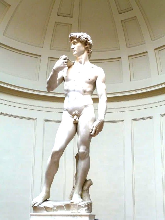 Davi - 5,17m - Galleria dell'Accademia, Florença