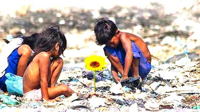 filme Ilha das flores