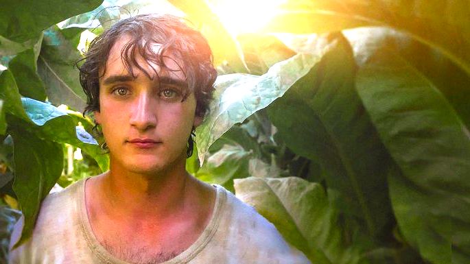 cena do filme Lazzaro Felice mostra rapaz em meio a folhagens