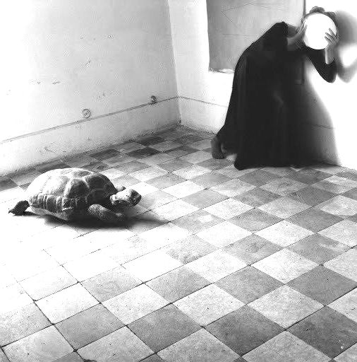 fotografia de Francesca Woodman