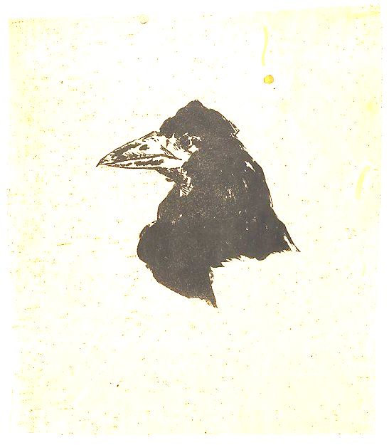 O corvo