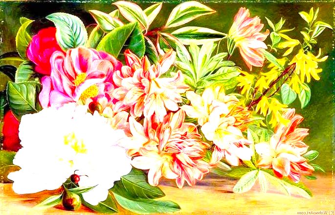 Quadro Flores Japonesas, de Marianne North.