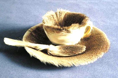 Meret Oppenheim Object Paris, 1936