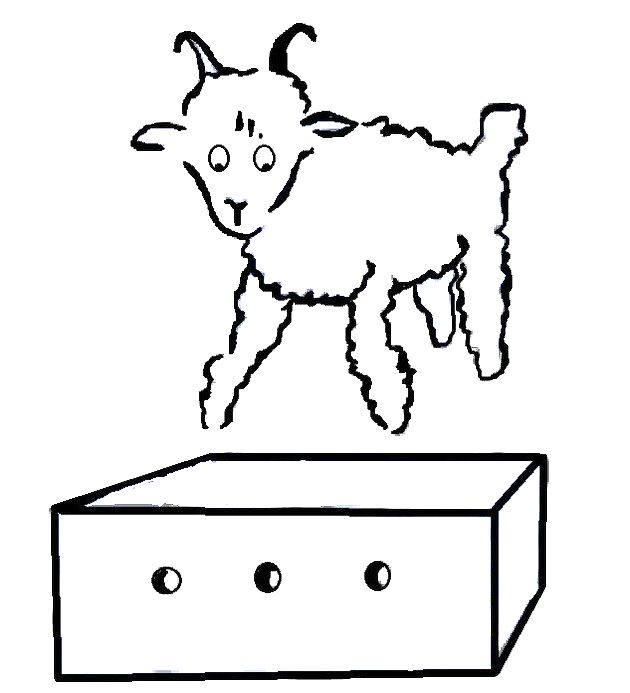 O carneiro e a caixa