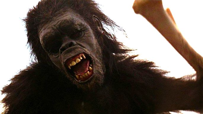 Frame: macaco