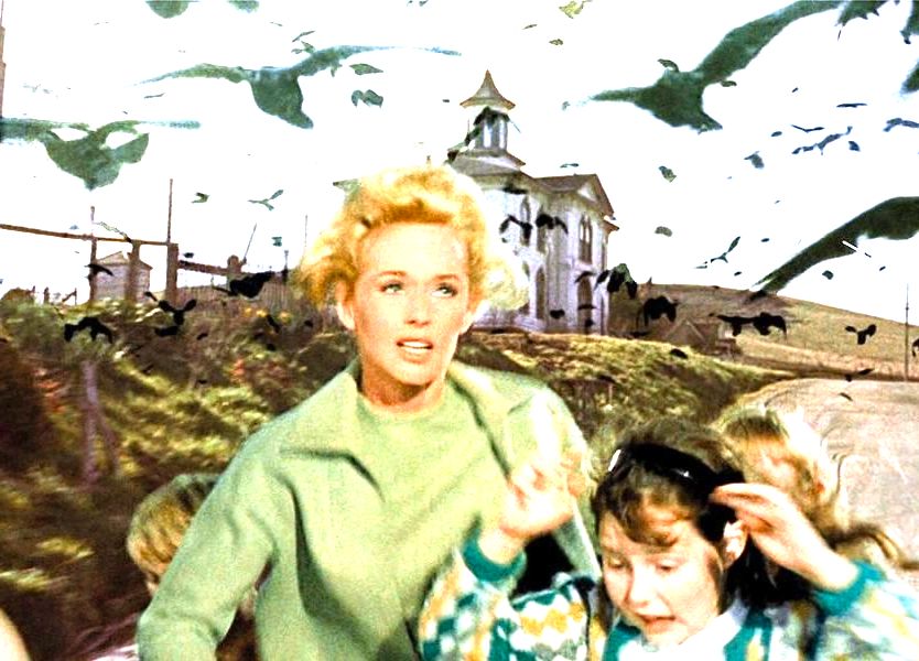 cena do filme Os pássaros mostra mulher e crianças fugindo de ataque de pássaros pretos