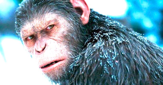 Frame do novo filme da franquia Planeta dos Macacos.