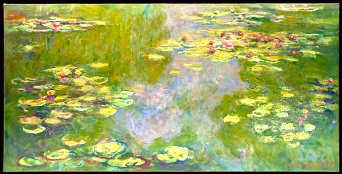 Water lilies