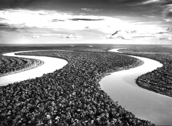 imagem aérea de dois rios presente na exposição Gênesis, de Sebastião Salgado