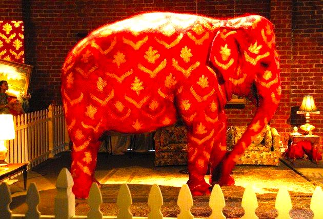 The elephant in the room