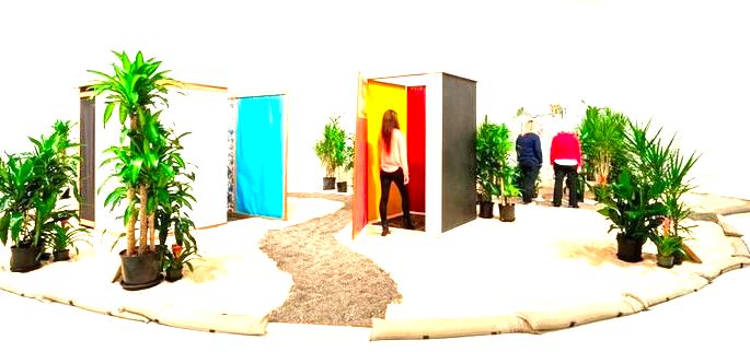 obra Tropicália, de Hélio Oiticica mostra instalação com paredes coloridas, caminhos de pedras e plaantas