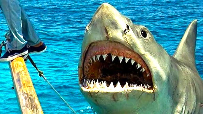 cena de filme Tubarão mostra tubarão de boca aberta